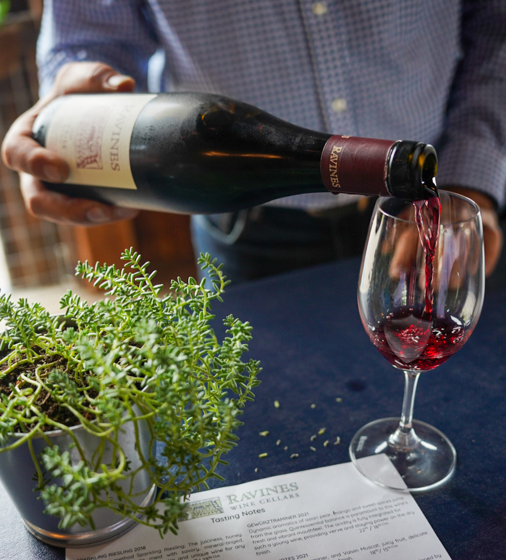 Someone pours a glass of red wine at the tasting counter of Ravines Wine Cellar in Geneva, New York. There is a potted plant in a metal container to the left that is a green succulent that has a lot of stems wildly going in every direction.
